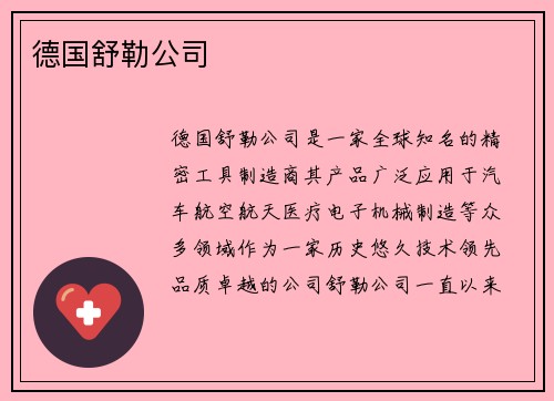 德国舒勒公司